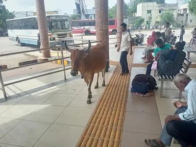 ગોંડલ બસ સ્ટેશનમાં સુવિધાને નામ મીંડું