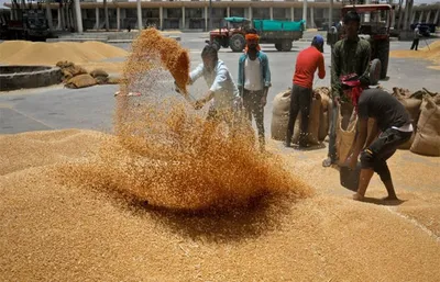 સરકાર પાસે ઘઉંનો સ્ટોક 16 વર્ષના તળીયે