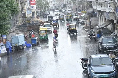 ગુજરાતમાં સતત બીજા દિવસે સાર્વત્રિક વરસાદ