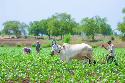 કૃષિ  સહકાર  ખેડૂત માટે 22 194 કરોડની જોગવાઇ